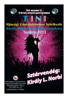Tini plakát 2013